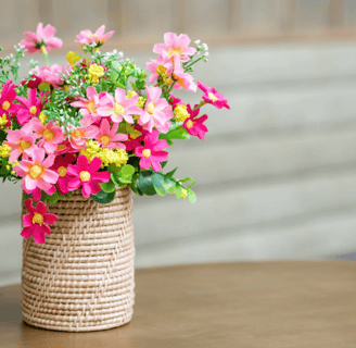 Decor for Plant Lovers