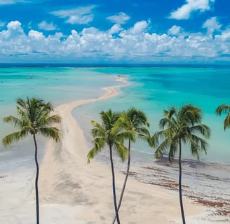 Maragogi (AL) praia no Brasil que parece com o Caribe. Seus coqueiros, areia branca e mar cristalino