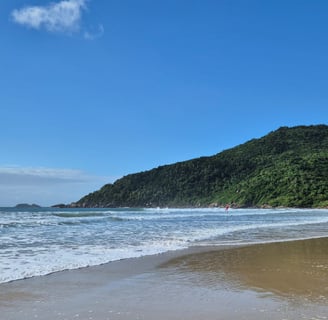Praia com mar azul, ondas quebrando suavemente na areia e vegetação litorânea ao fundo