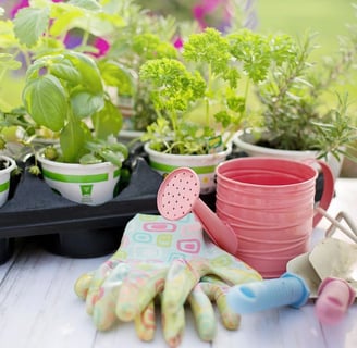 Balcon aménagé avec des outils de jardinage, pots de fleurs et plantes vertes, prêt pour débuter