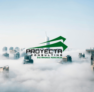 Proyecta consulting, Dictámenes periciales litigios y reclamaciones, Perito, dictámenes periciales