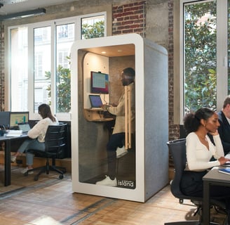 Office workers sitting at desks in a modern office with a Work With Island