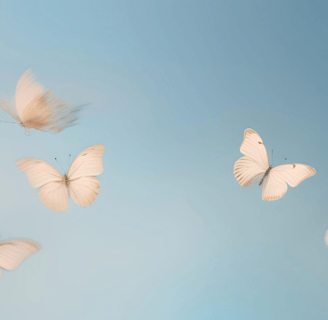 farfalle bianche che volano nel cielo