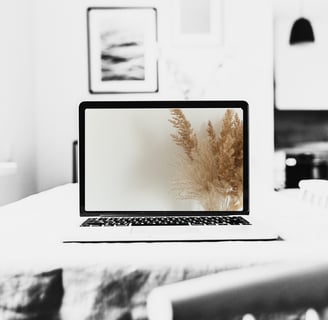 desk top computer showing pampass grass