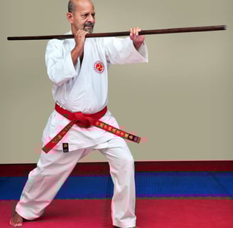 sensei ravindran k.p karate