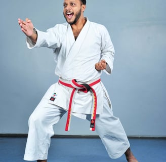 sensei lince ravi