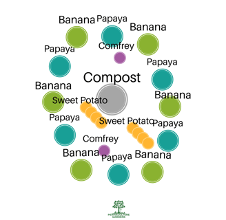 Permaculture Guilds