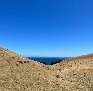Wild South Coast Way, South Australia