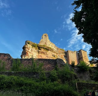 Le Fleckenstein
