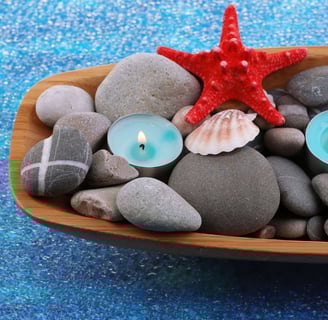 summer seashell decor