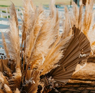 pampas grass aisle markers
