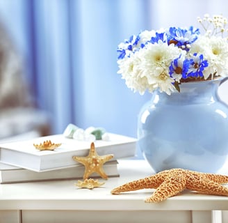 seashell decor