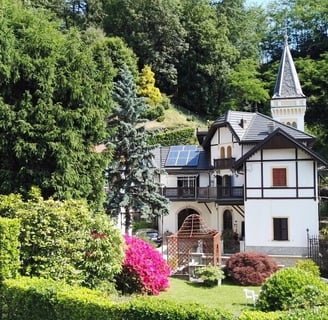 aerial view of the villa ombrosa with flowers and garden