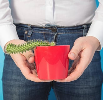 Addressing the Problem of Erectile Dysfunction