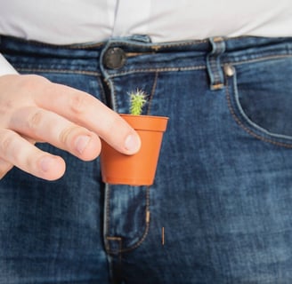 Male Enhancement Supplements