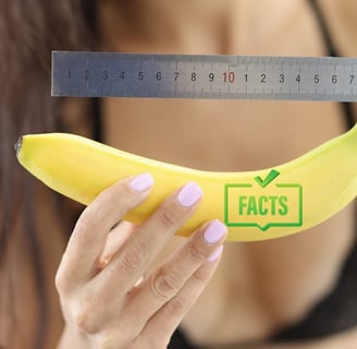 Facts About Penis Size