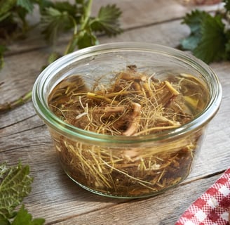 Nettle Root