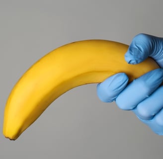 Top Supplements for Erectile Health