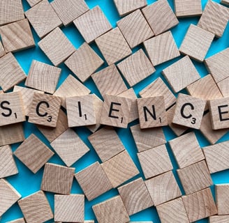 The Science Behind Penis Size: What Determines It?
