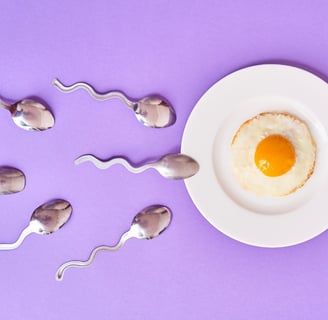 Understanding Male Fertility