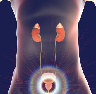 Unveiling the Prostate Health Problem