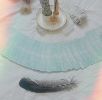 a feather feather feather feather feather feather feather feather feather feather feather feather feather feather feather