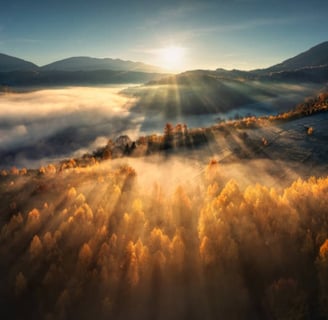 Beautiful sunrise