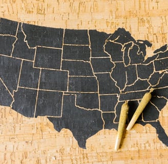 State Laws