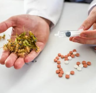 Cannabis Vs. Opiods