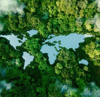 Environmental Benefits