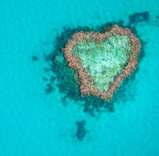 Heart shaped reef