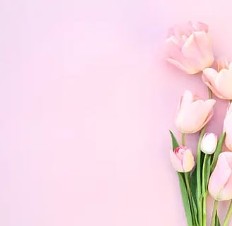 Understanding menopause