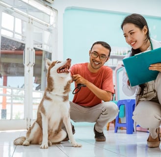 una veterinaria agachada al lado de un husky con su propietario