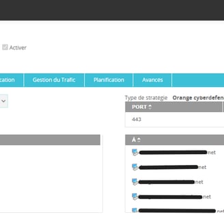 Voici une image de la Règle du Firewall, qui permet au flux de passer vers des URLs spécifiques