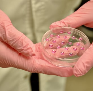An REU student's hands holding a petrie dish with a polymer.