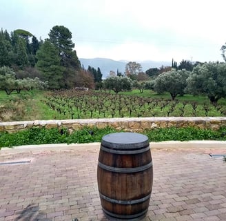 winery, wine taste Robola Kefalonia 