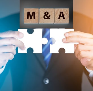 Merger & Acquistion, Due Diligence
