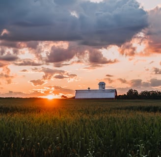 A sun sets over an Indiana cornfield with an old barn in the middle.