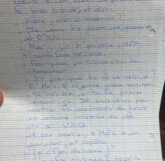 Les Chroniques d'Emenia, par Asyldo. Projet 2002 : écriture.