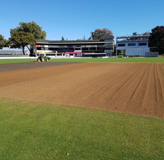 Cricket Wicket Renovation