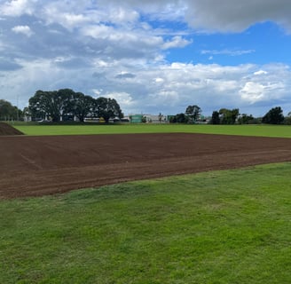 Cricket Wicket Renovation