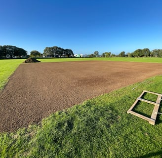 Cricket Wicket Renovation