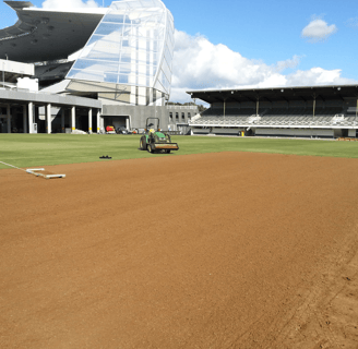 Cricket Wicket Renovation