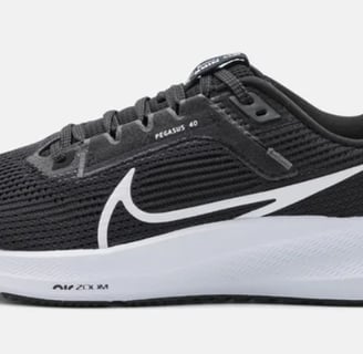 Nike pegasus 40