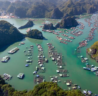 a large amount of boats are in the water