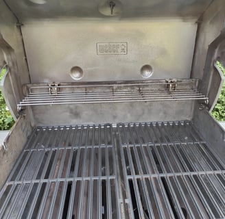 weber bbq cleaning service 2