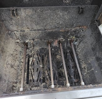 weber bbq deep cleaning service