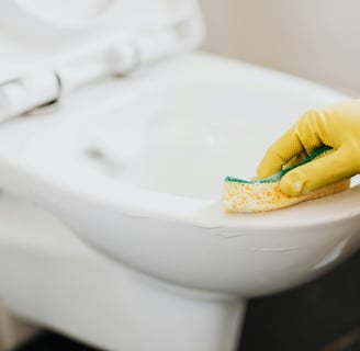 Toilet cleaning
