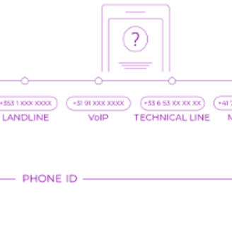 whatsapp bulk api