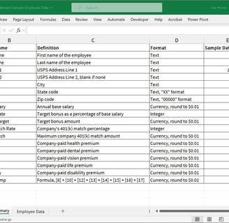 data field summary for total compensation mail merge project with mock employee sample data shown